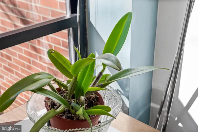 $399,000 | 1407 Jordan Street, Baltimore, MD 21217