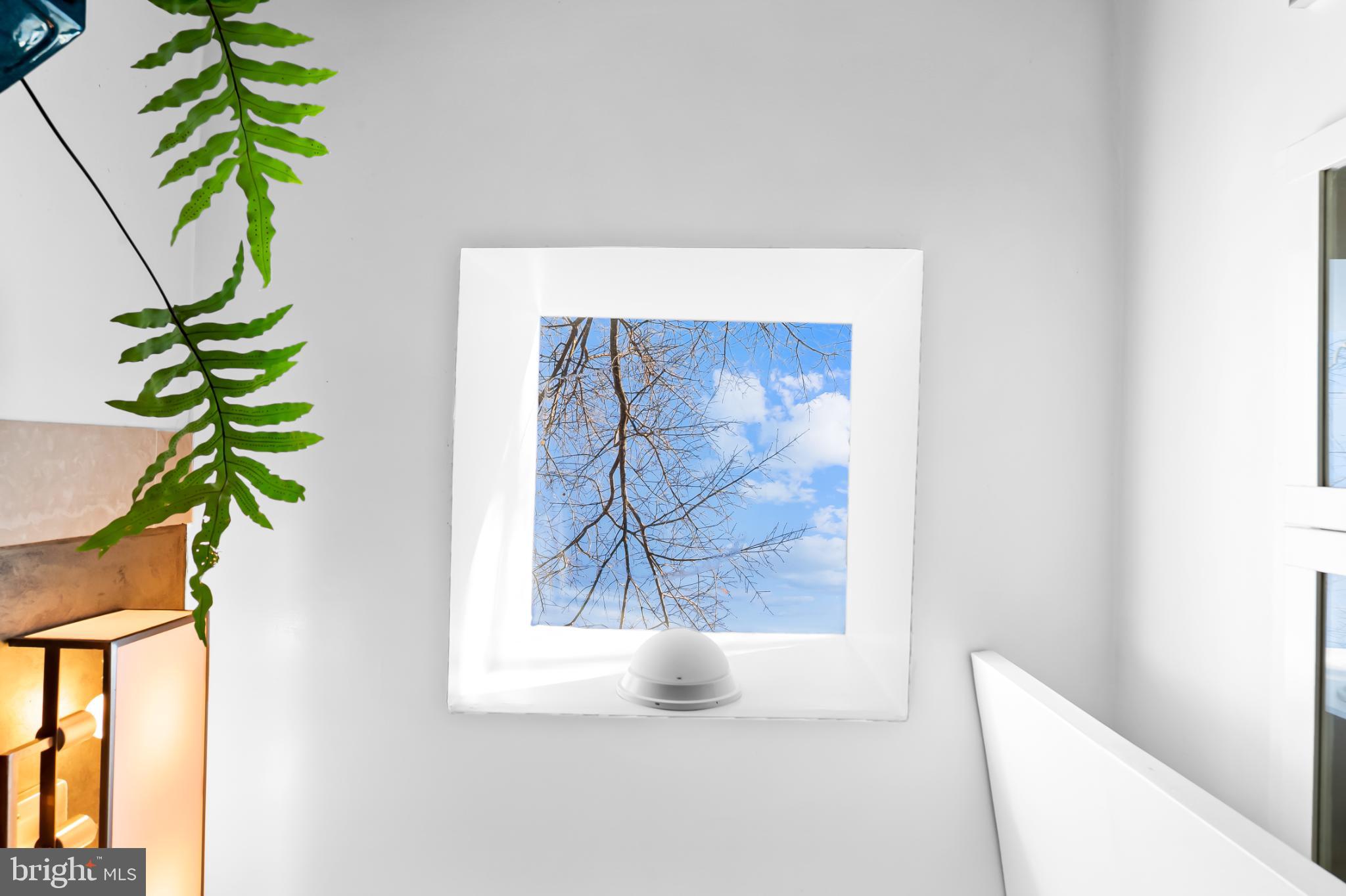 1407 Jordan Street Baltimore, MD 21217 - Photo 50 of 75 a white vase with white and yellow flowers