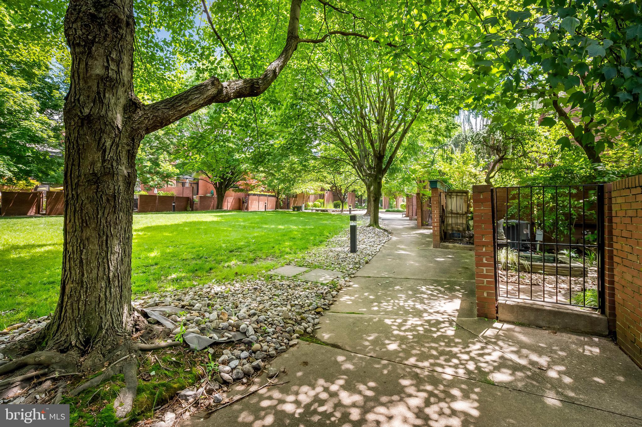 1407 Jordan Street Baltimore, MD 21217 - Photo 64 of 75 a view of a yard with plants and large trees