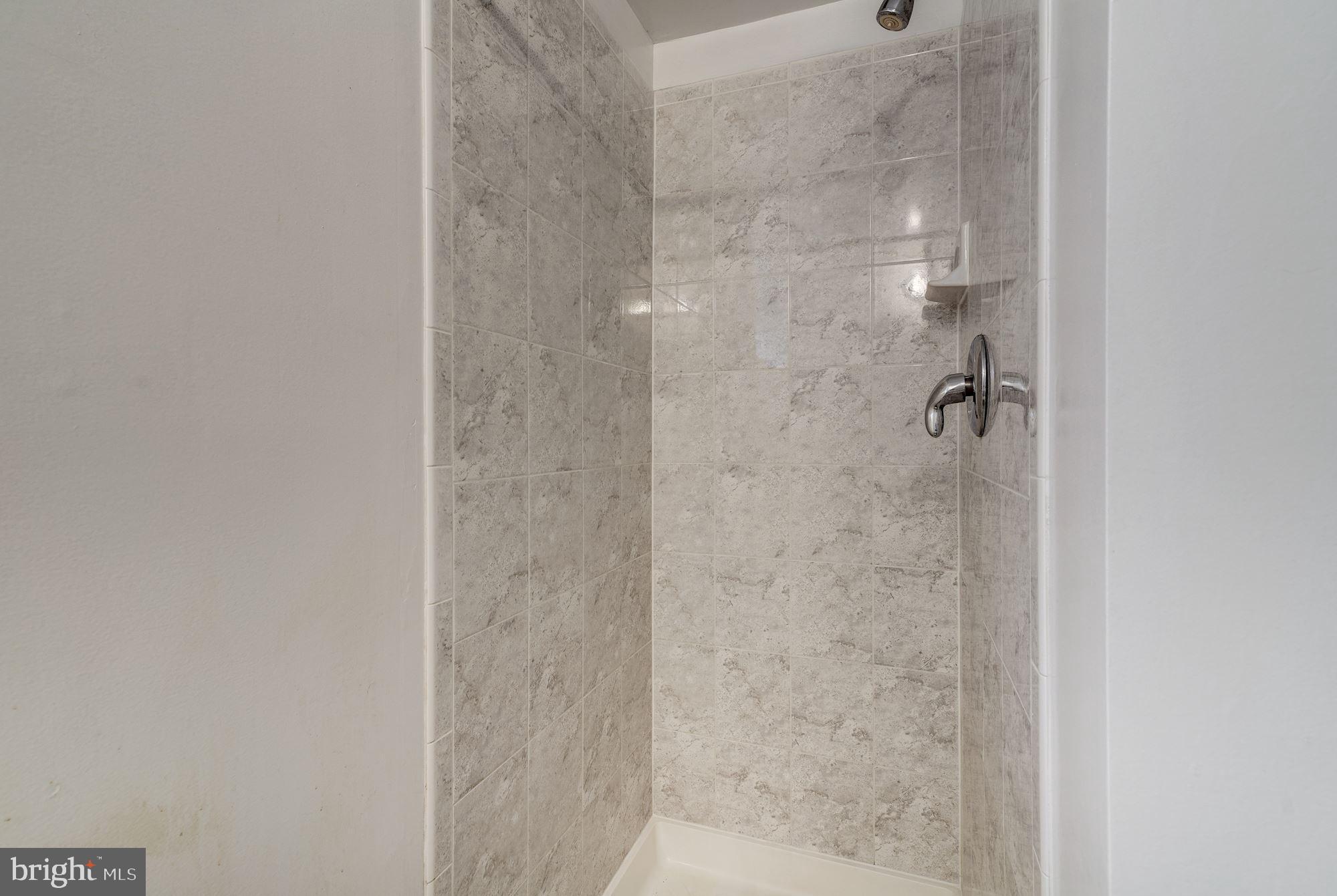 1608 Grace Church Road Silver Spring, MD 20910 - Photo 15 of 26 New shower on bottom level