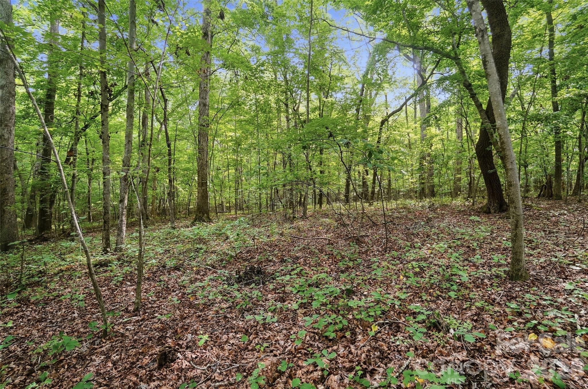 Vac Pond Road Locust, NC 28097 - Photo 6 of 6 Gallery Image 6