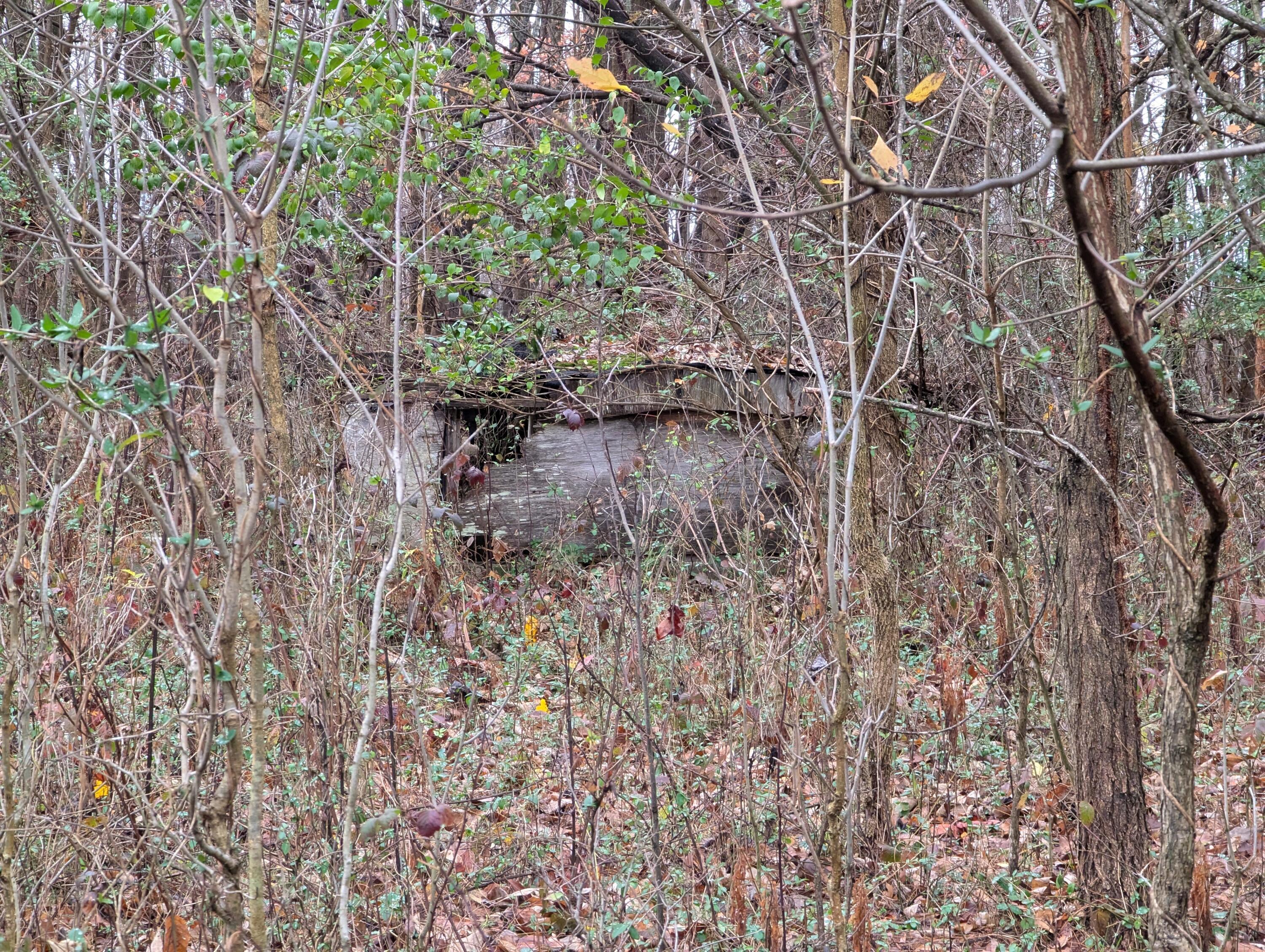 314 Murphy Road Frankfort, OH 45628 - Photo 3 of 8 PXL_20241119_161805271