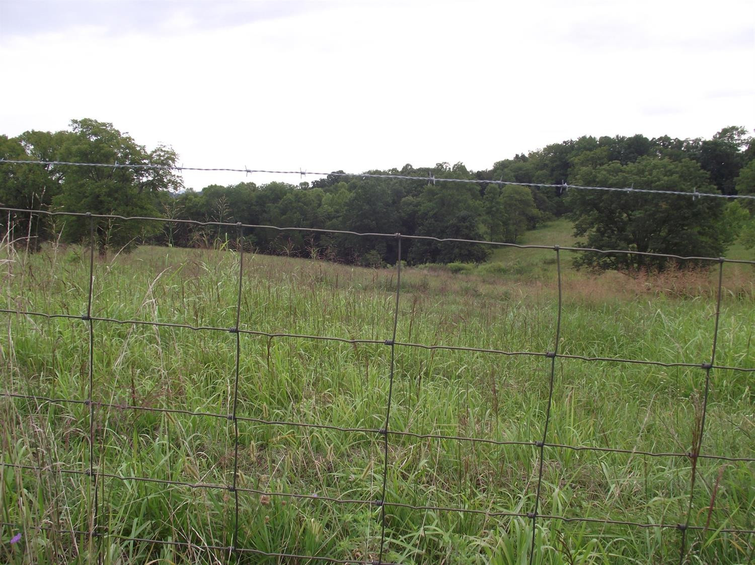 14410 Irvine Road Winchester, KY 40391 - Photo 20 of 25 Photo 20