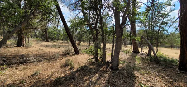 $45,000 | 32 Shoshoni Loop, Fall River Mills, CA 96028