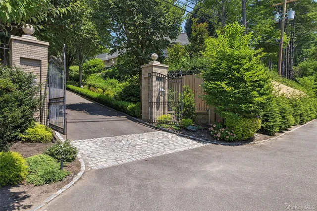 a view of bushes and pathway