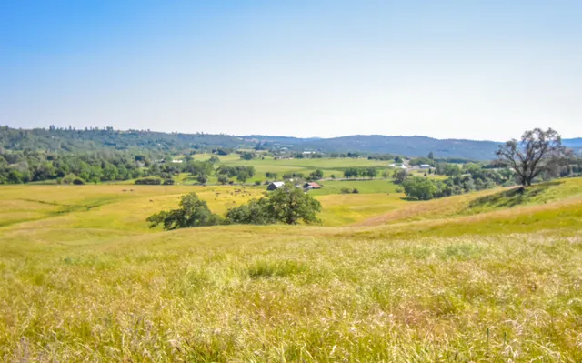 a view of a lake with a mountain