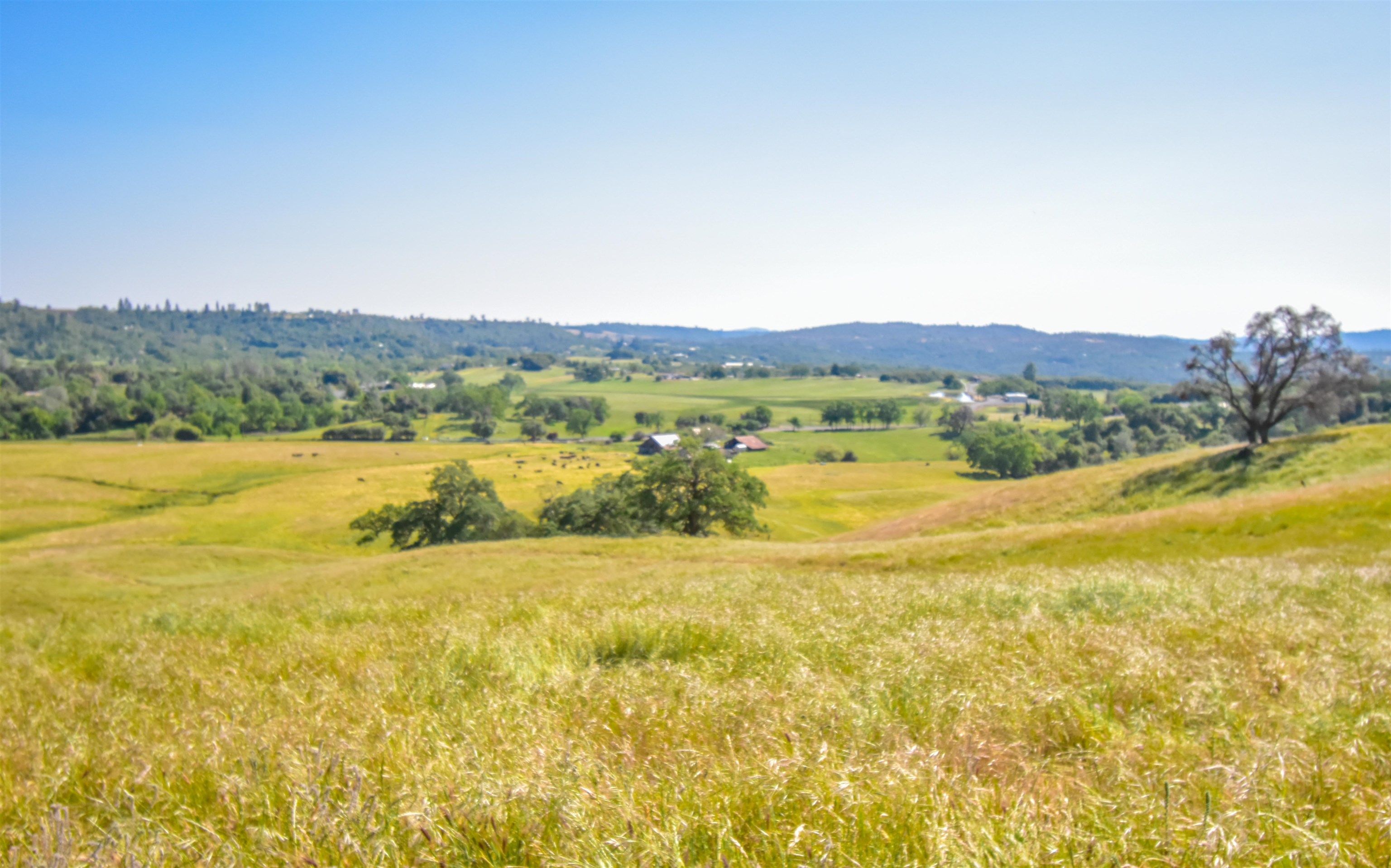 9436 Fraguero Road Sonora, CA 95370 - Photo 12 of 14 a view of lake with mountain