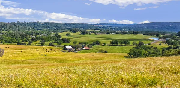 $1,900,000 | 9436 Fraguero Road, Sonora, CA 95370