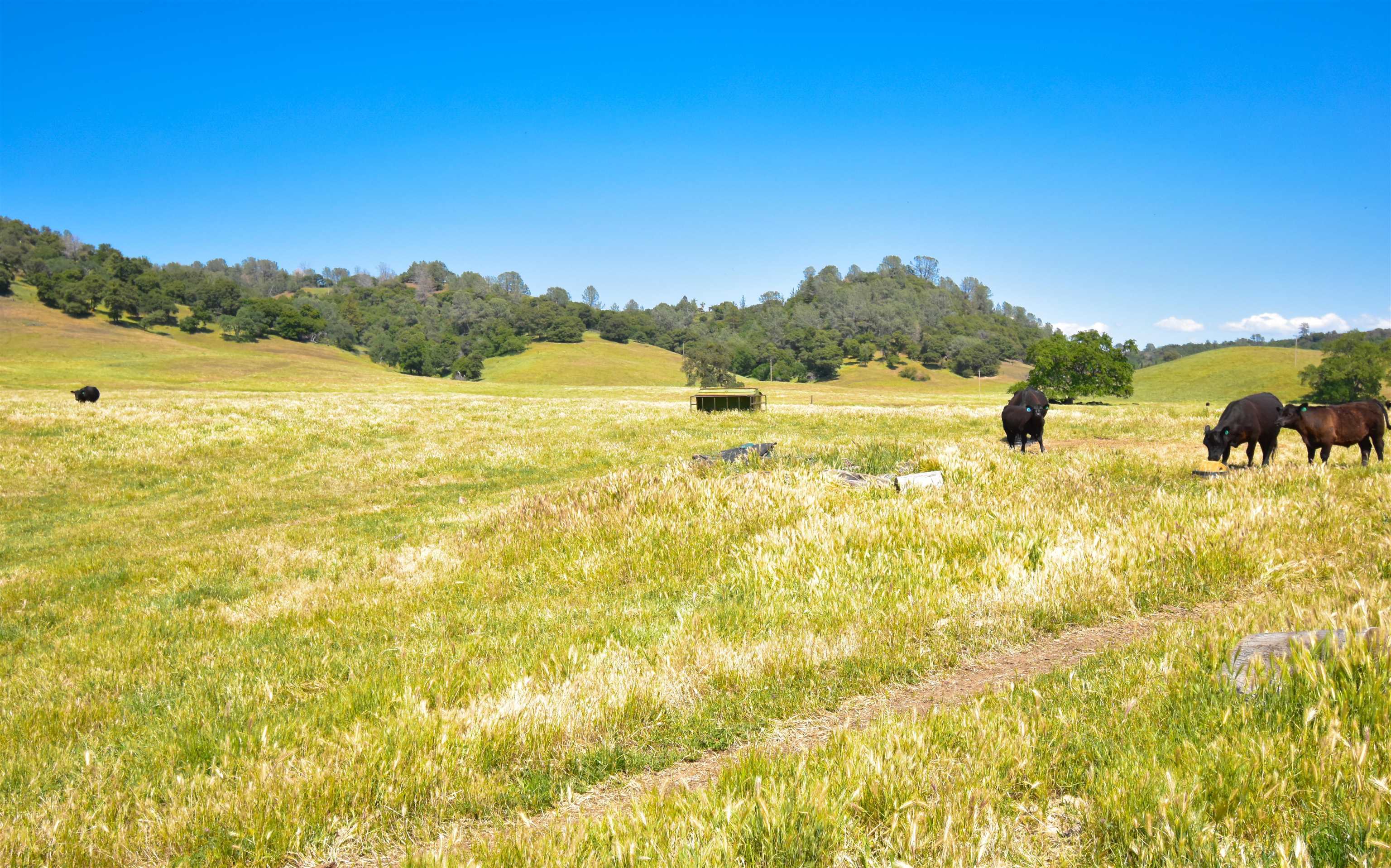 9436 Fraguero Road Sonora, CA 95370 - Photo 3 of 14 a view of a lake view