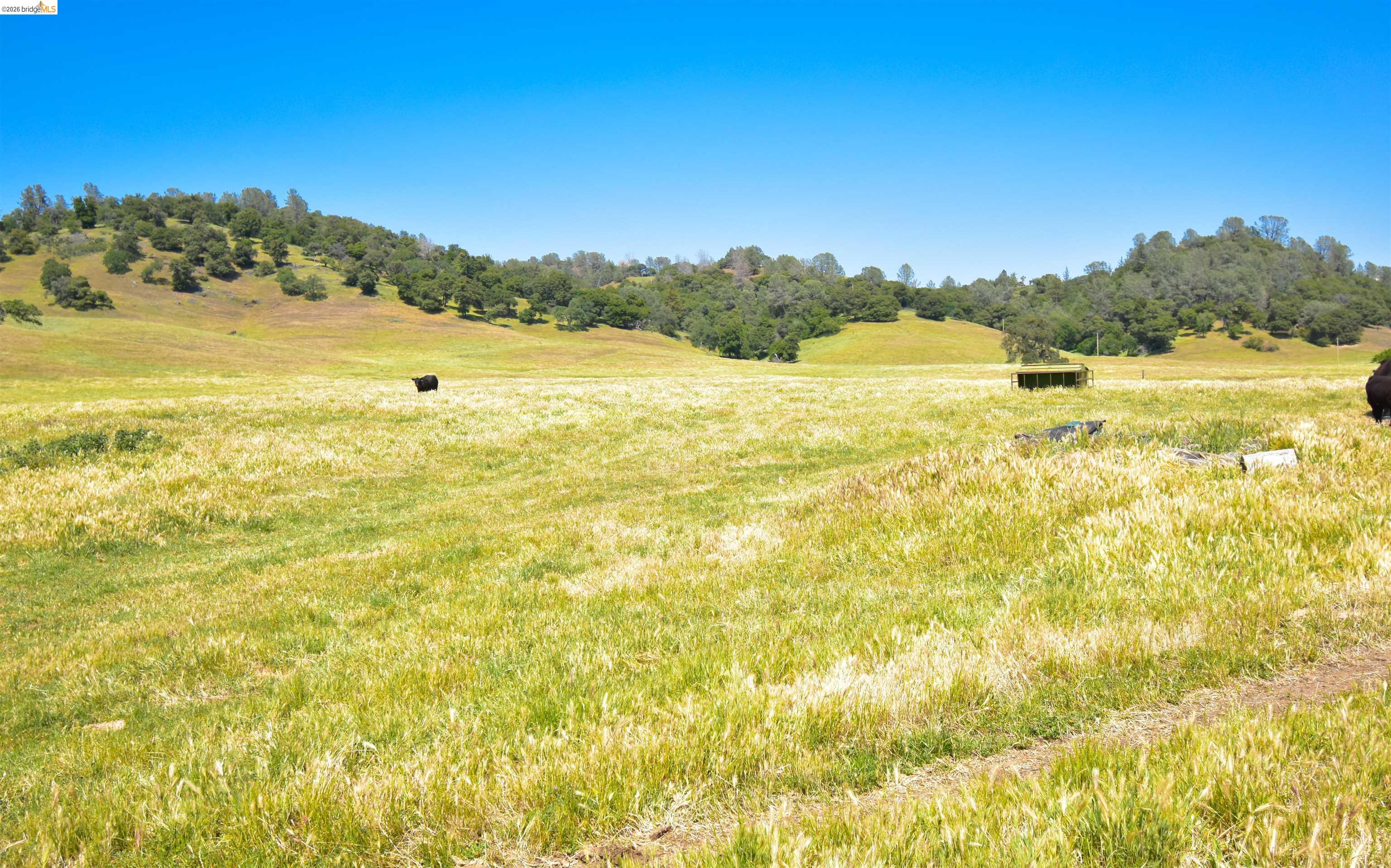9436 Fraguero Road Sonora, CA 95370 - Photo 5 of 18 a view of ocean view