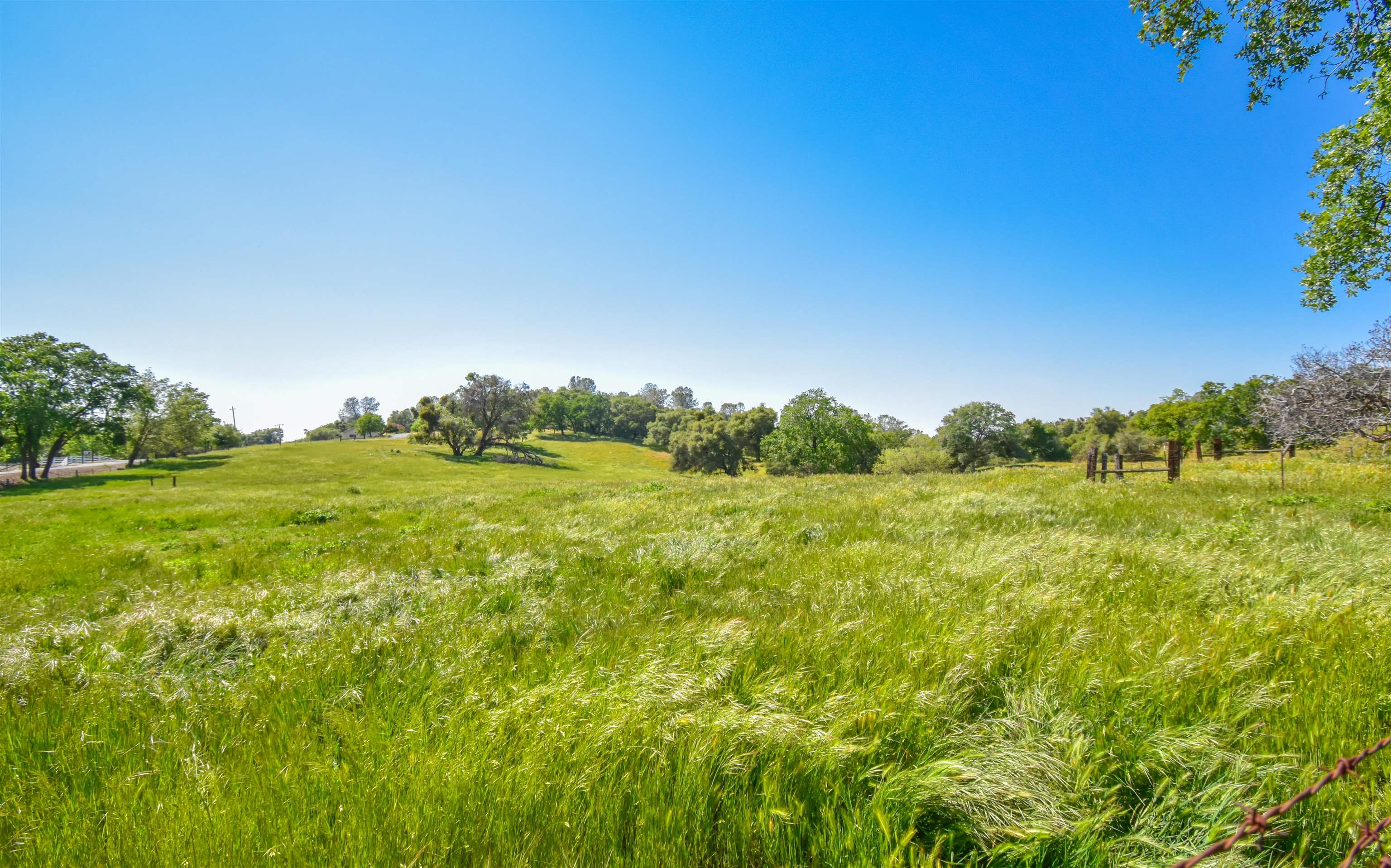 9436 Fraguero Road Sonora, CA 95370 - Photo 8 of 14 a view of a green field with trees in the background