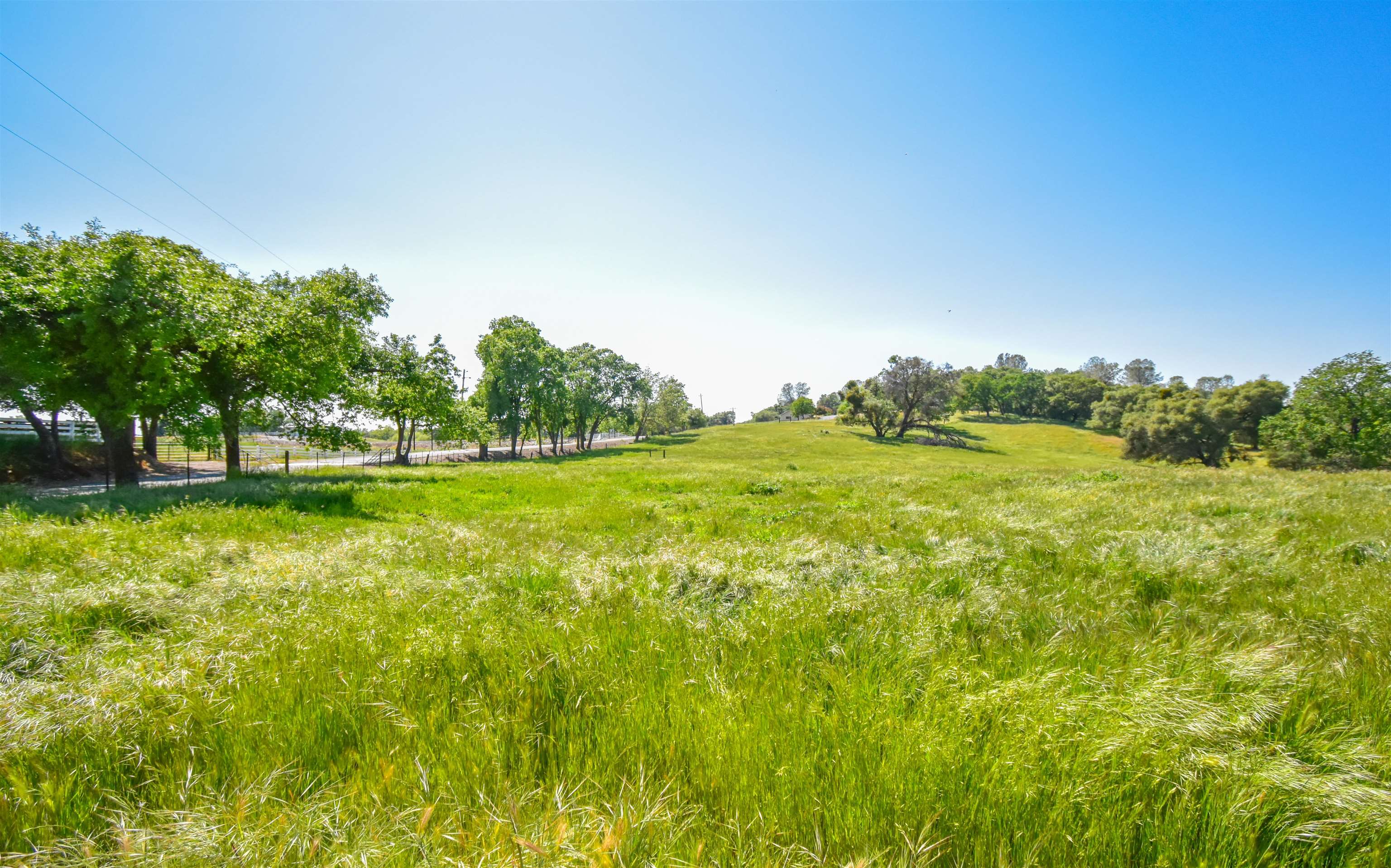 9436 Fraguero Road Sonora, CA 95370 - Photo 9 of 14 a view of yard with tree and green space