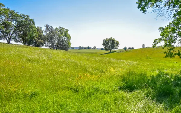 a view of a city with an ocean view