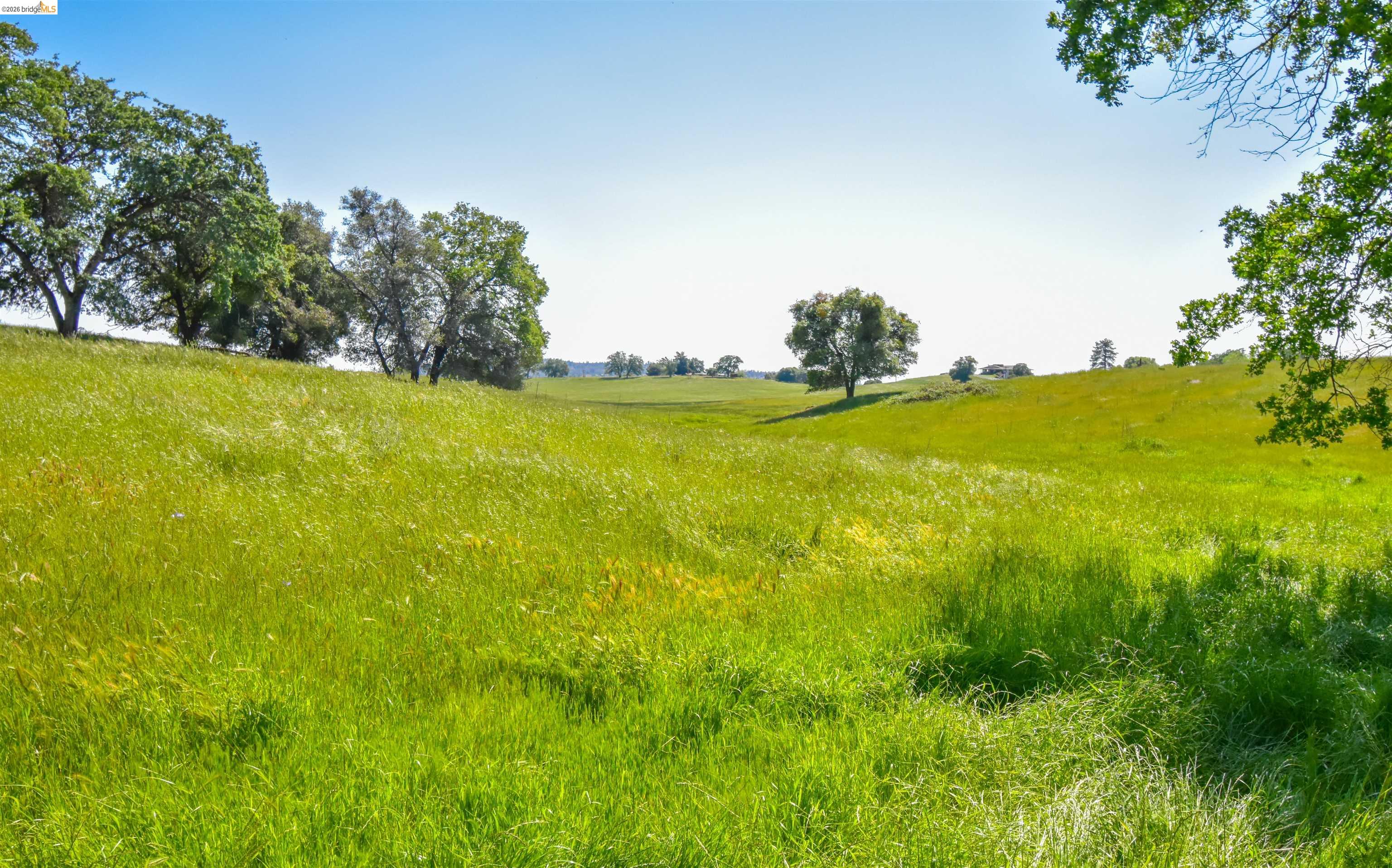 9436 Fraguero Road Sonora, CA 95370 - Photo 10 of 18 a view of a large yard with plants and large trees