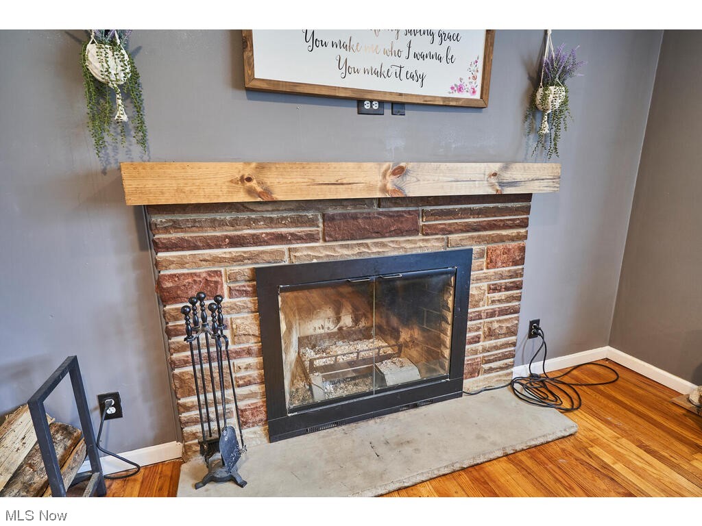 11530 Girdled Road Painesville, OH 44077 - Photo 8 of 32 Details featuring a fireplace and hardwood / wood-style floors