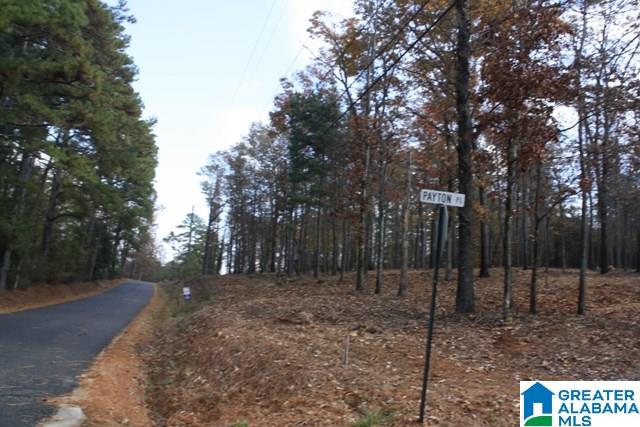 Peyton Place, Unit 3 Weaver, AL 36277 - Photo 40 of 40