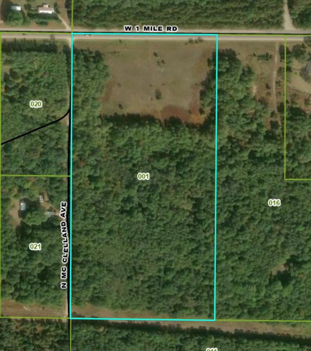 1950 West 1 Mile Road White Cloud, MI 49349 - Photo 2 of 6 Ariel Photo