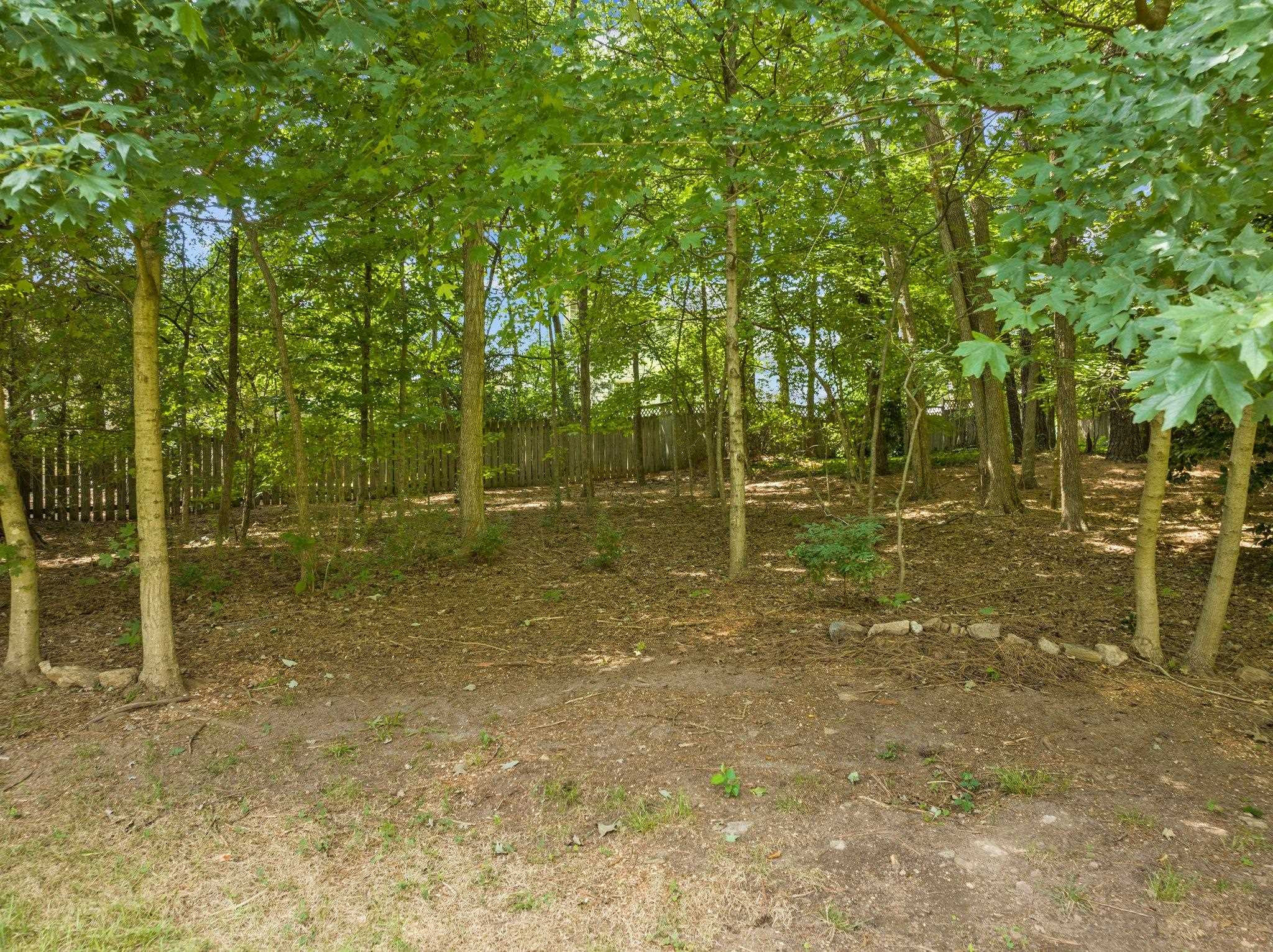 3504 Spring Willow Place Raleigh, NC 27615 - Photo 23 of 49 Photo 23