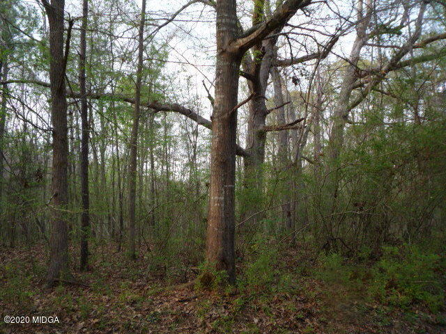 Lot 3 Bowdoin Road Juliette, GA 31046 - Photo 3 of 6 P1080502