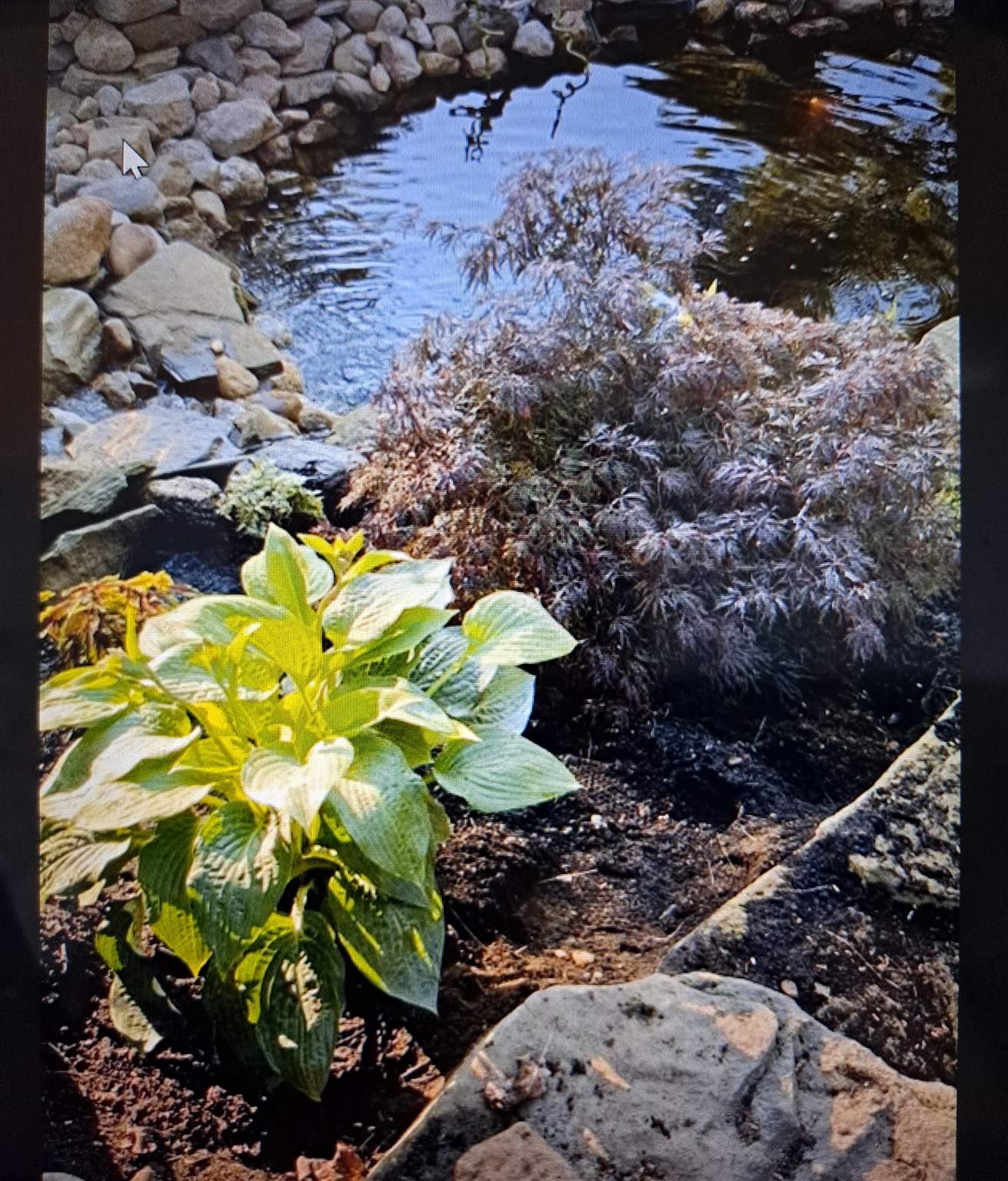 24 Great Pond Road Kingston, NH 03848 - Photo 5 of 27