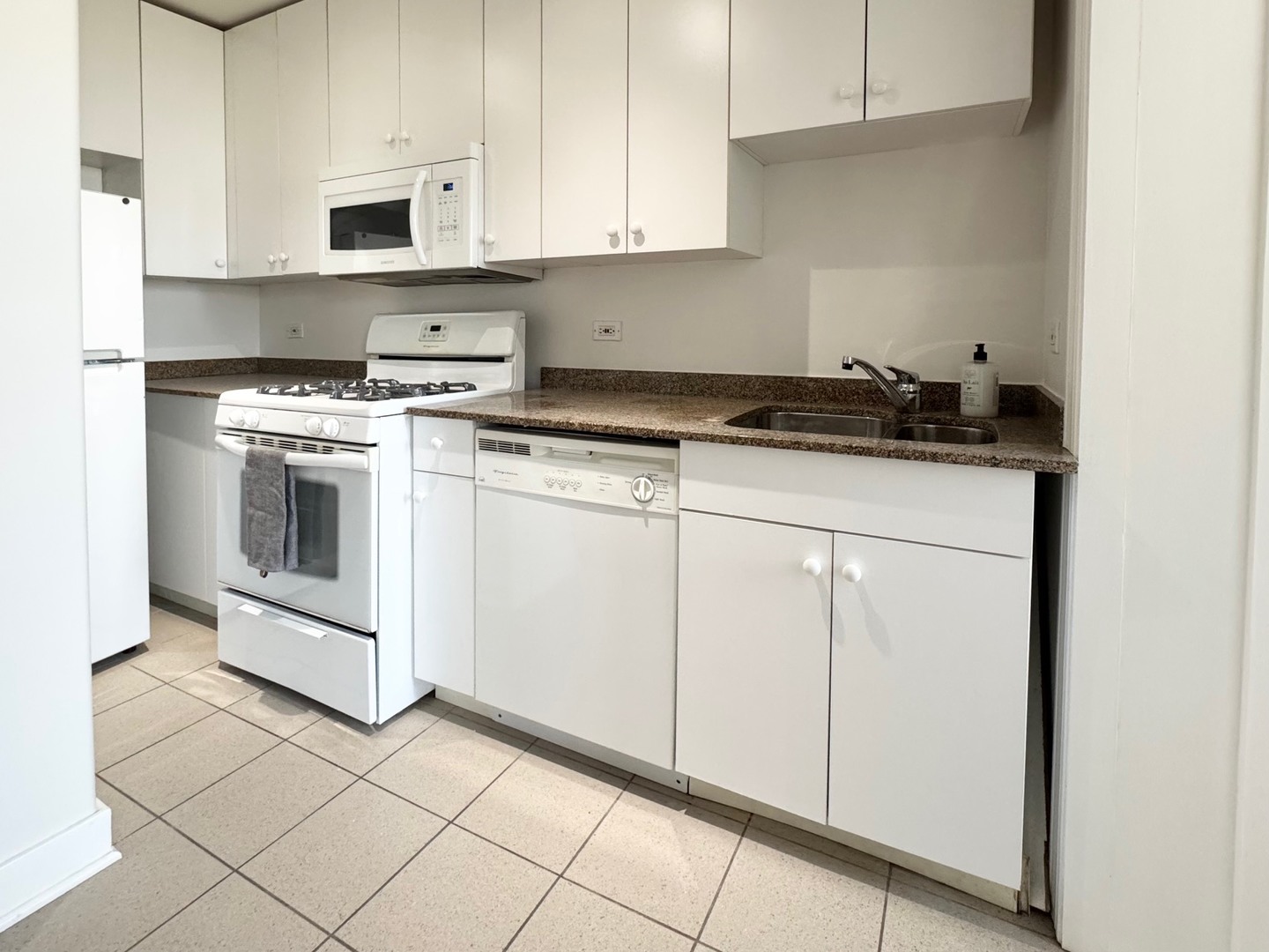 4335 West Irving Park Road, Unit 102 Chicago, IL 60641 - Photo 3 of 18