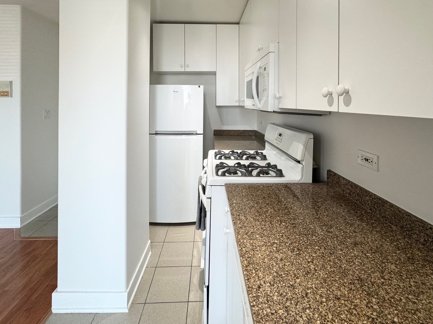 4335 West Irving Park Road, Unit 102 Chicago, IL 60641 - Photo 4 of 18