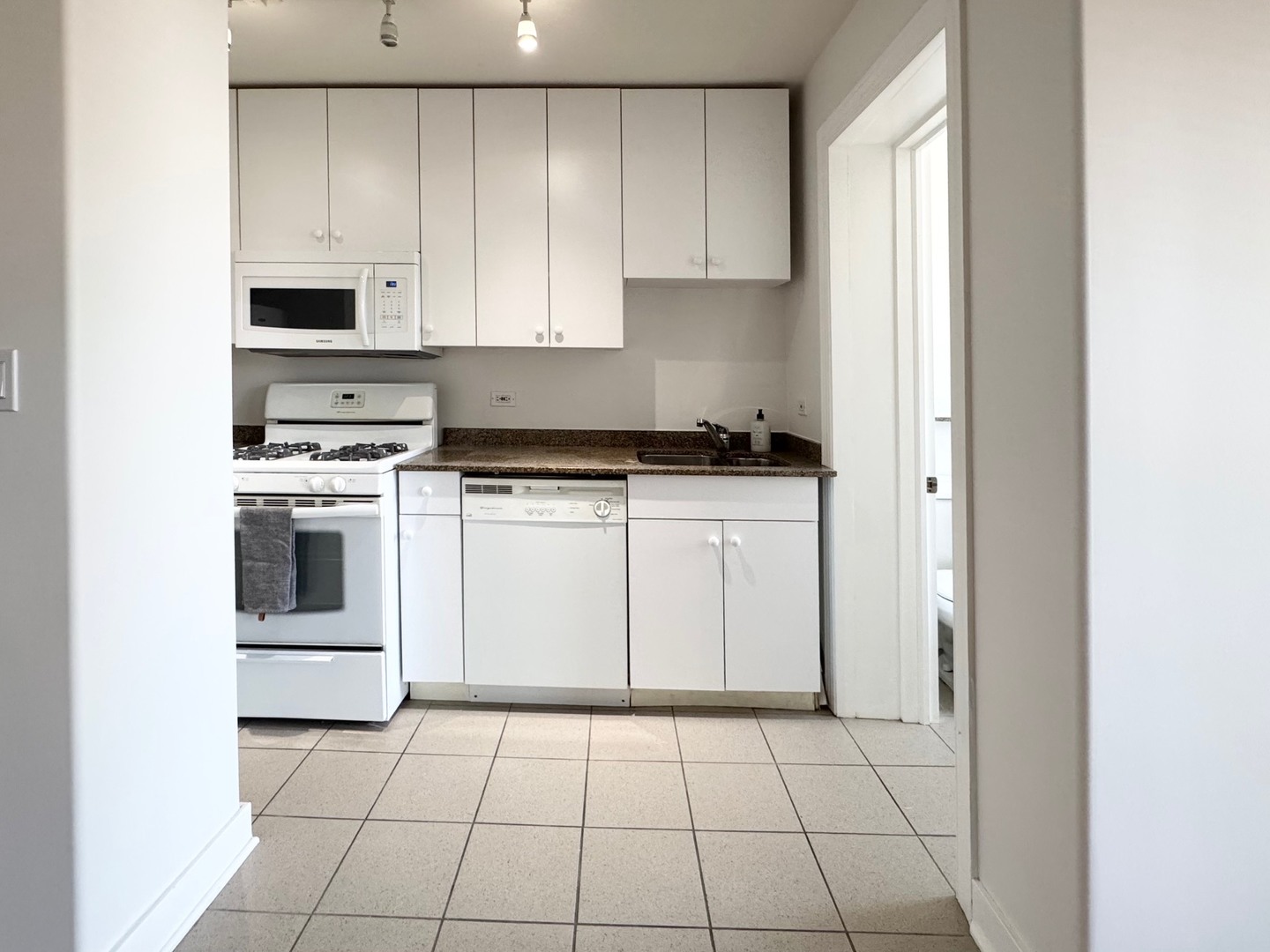 4335 West Irving Park Road, Unit 102 Chicago, IL 60641 - Photo 5 of 18