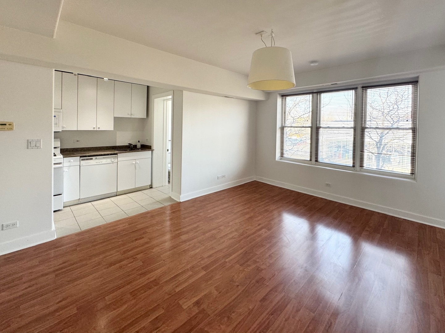 4335 West Irving Park Road, Unit 102 Chicago, IL 60641 - Photo 7 of 18