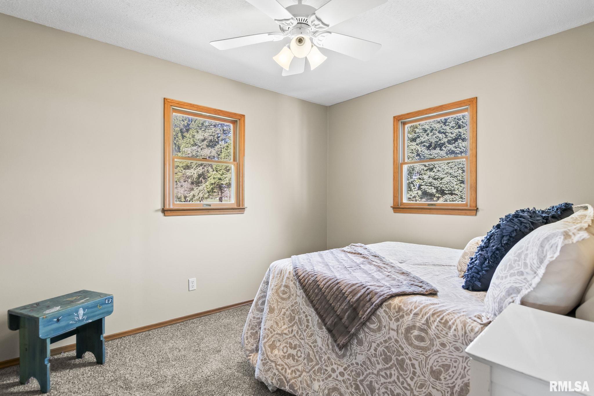 565 Paw-Paw Road Petersburg, IL 62675 - Photo 14 of 35