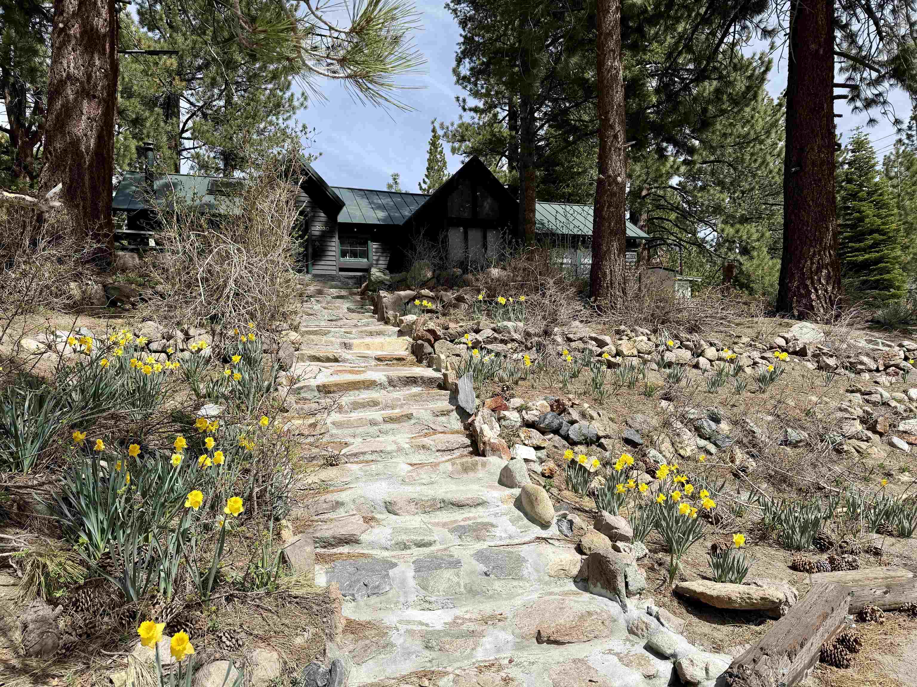 2030 Old Mammoth Road Mammoth Lakes, CA 93546 - Photo 4 of 46 a view of yard with green space