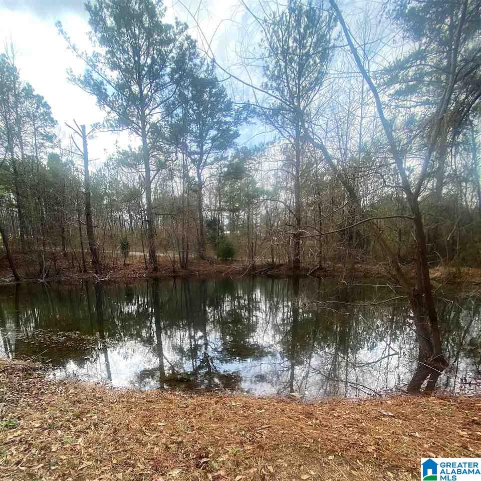 3672 Spunky Hollow Road Remlap, AL 35133 - Photo 29 of 34