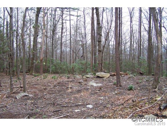 6.71-ac Judes Gap Road, Unit 17 Mill Spring, NC 28756 - Photo 22 of 24 Gallery Image 22