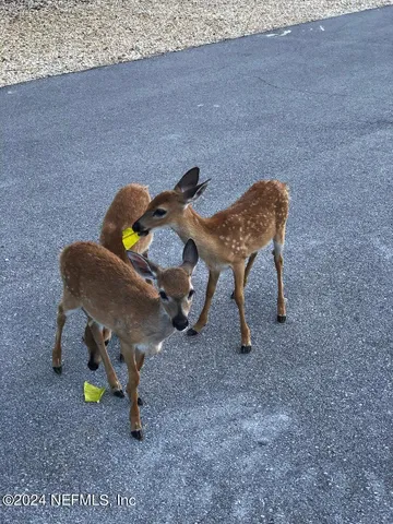 a view of outdoor space deck and yard