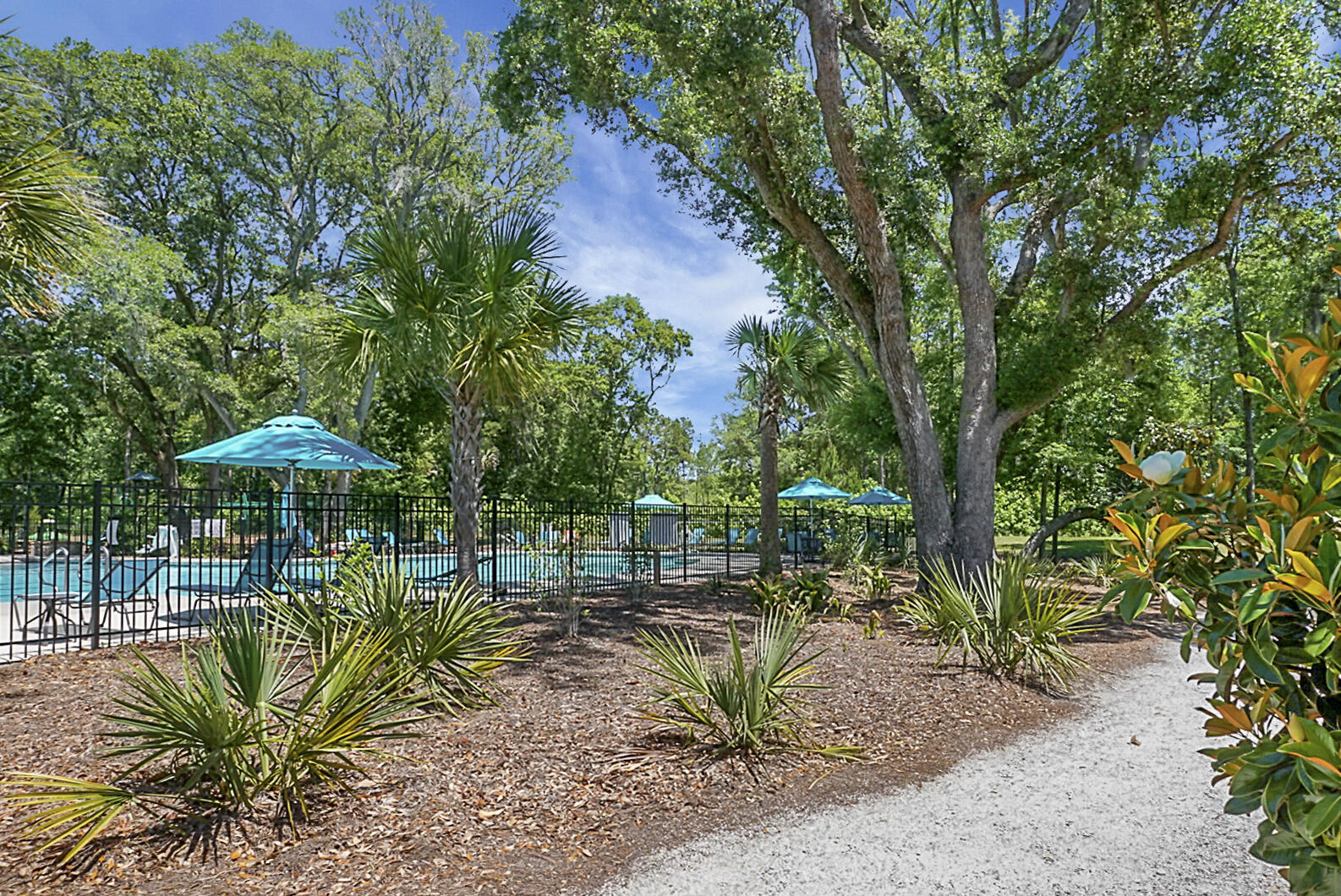 2227 Des Arc Road Johns Island, SC 29455 - Photo 50 of 55 DSC07664