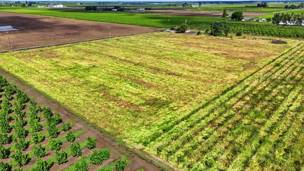 $799,999 | 20042 North Ray Road, Lodi, CA 95242