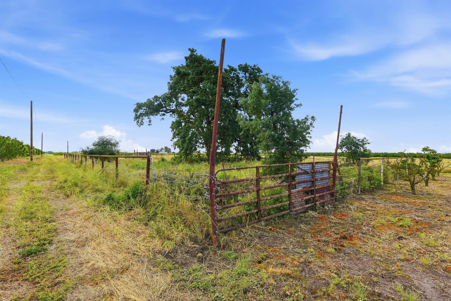 20042 North Ray Road Lodi, CA 95242 - Photo 52 of 57