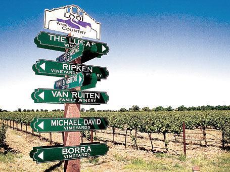 20042 North Ray Road Lodi, CA 95242 - Photo 56 of 57