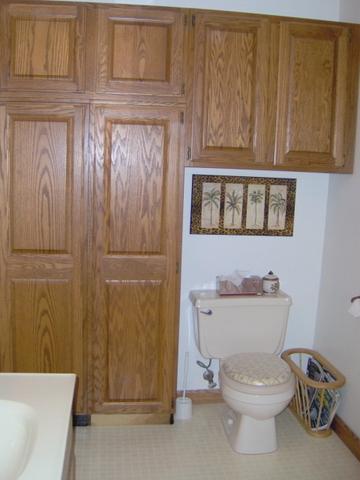 7602 Kimball Road Lyons, MI 48851 - Photo 5 of 5 Additional Photo