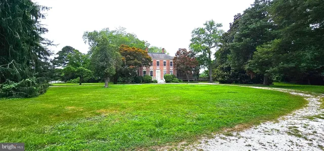 a view of a house with a large tree in front of it
