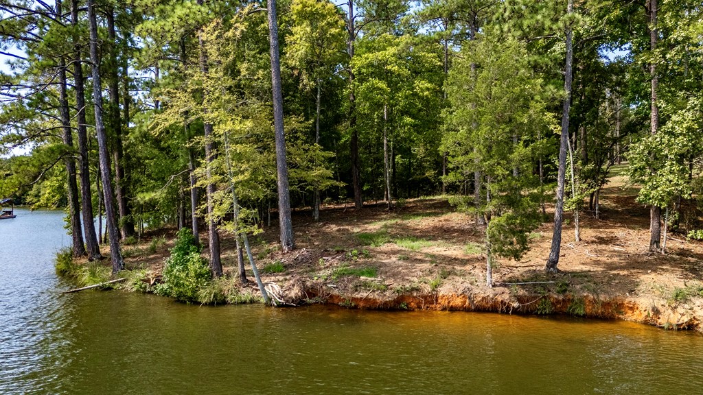 688 Spray Shed Road Greenwood, SC 29649 - Photo 4 of 17