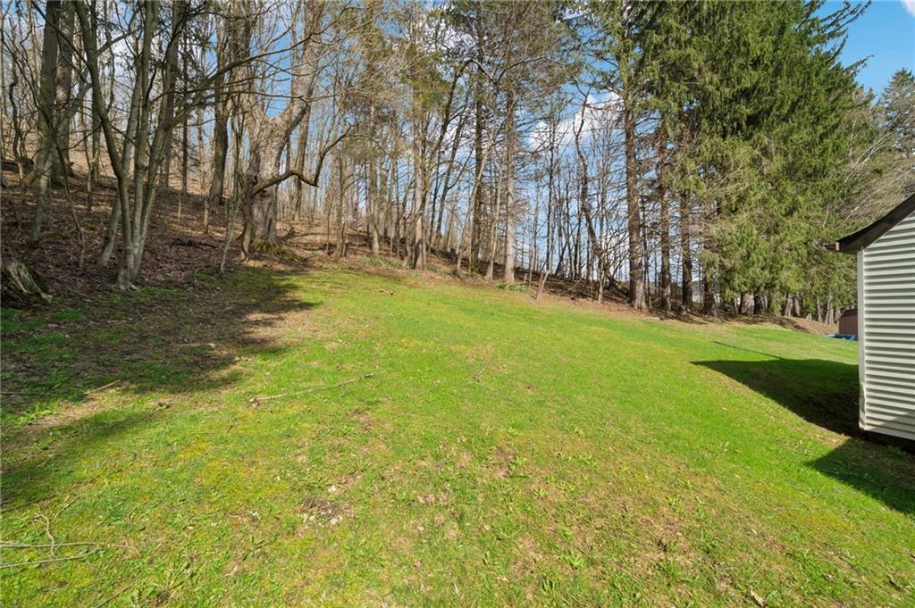 161 Millertown Road Normalville, PA 15469 - Photo 26 of 30 a view of yard with tree