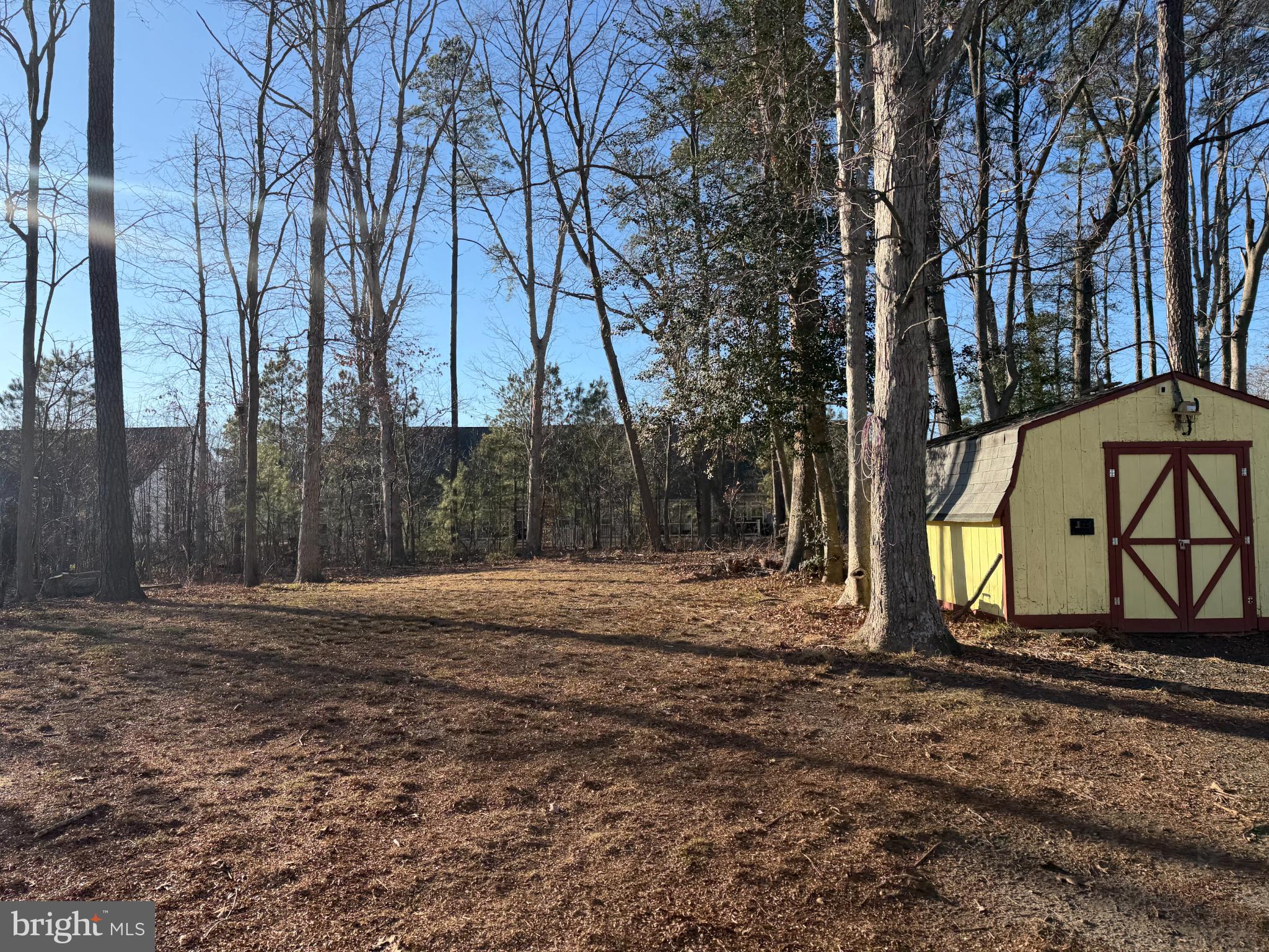 18372 Hudson Road Milton, DE 19968 - Photo 3 of 4 Serene woodland retreat with charming shed.