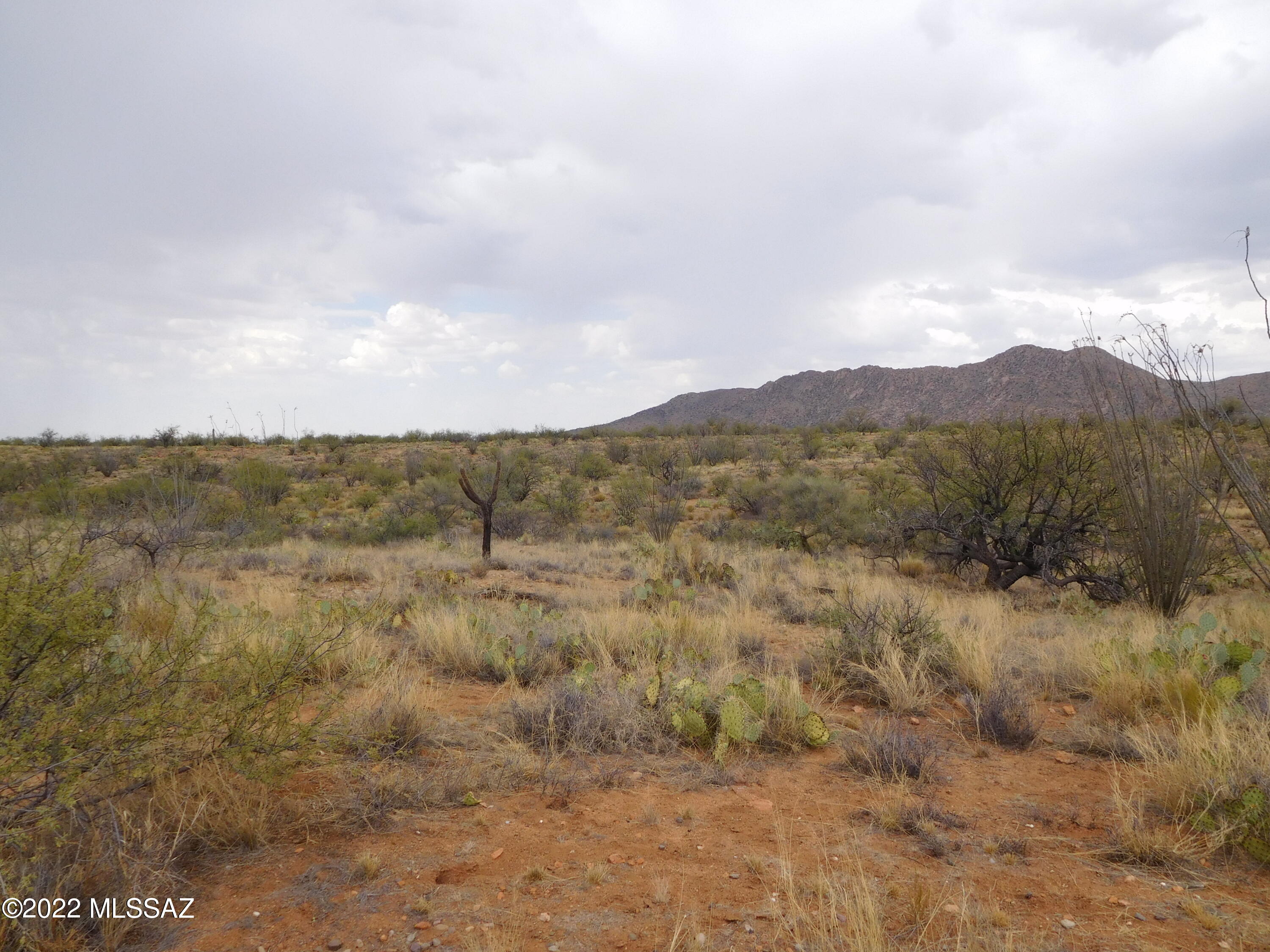 16705 South Sierrita Mountain Road Tucson, AZ 85736 - Photo 10 of 38