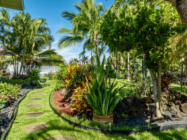 a view of a garden with a fountain