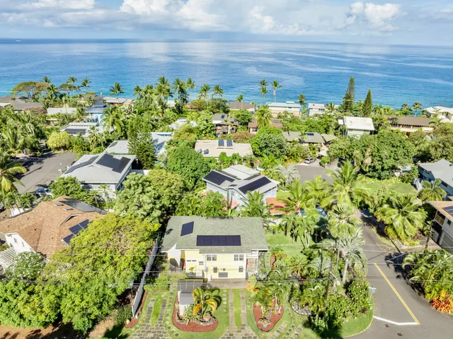 a view of a flower in a garden