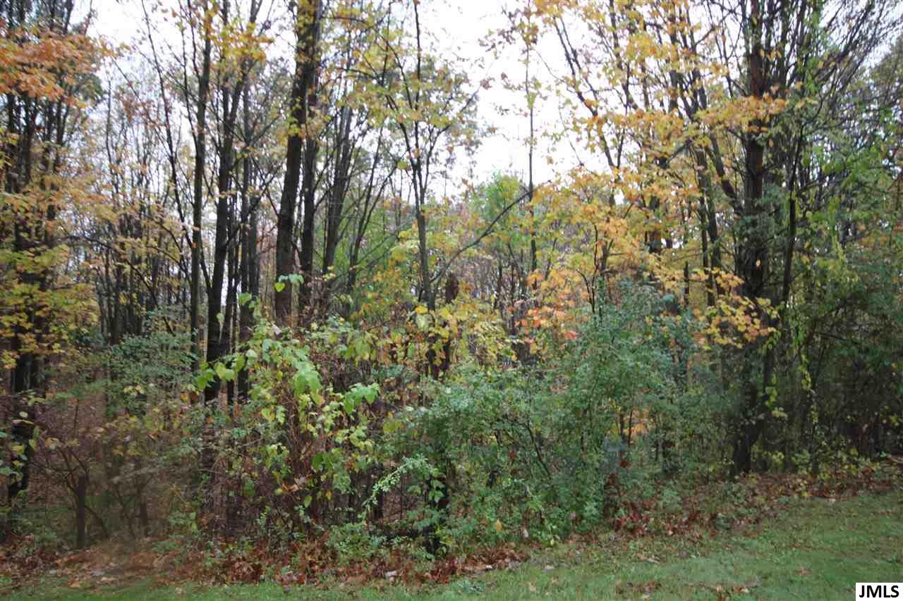 8321 Dixon Road Rives Junction, MI 49277 - Photo 28 of 36 Photo 28