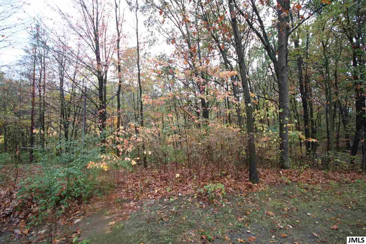8321 Dixon Road Rives Junction, MI 49277 - Photo 33 of 36 Photo 33