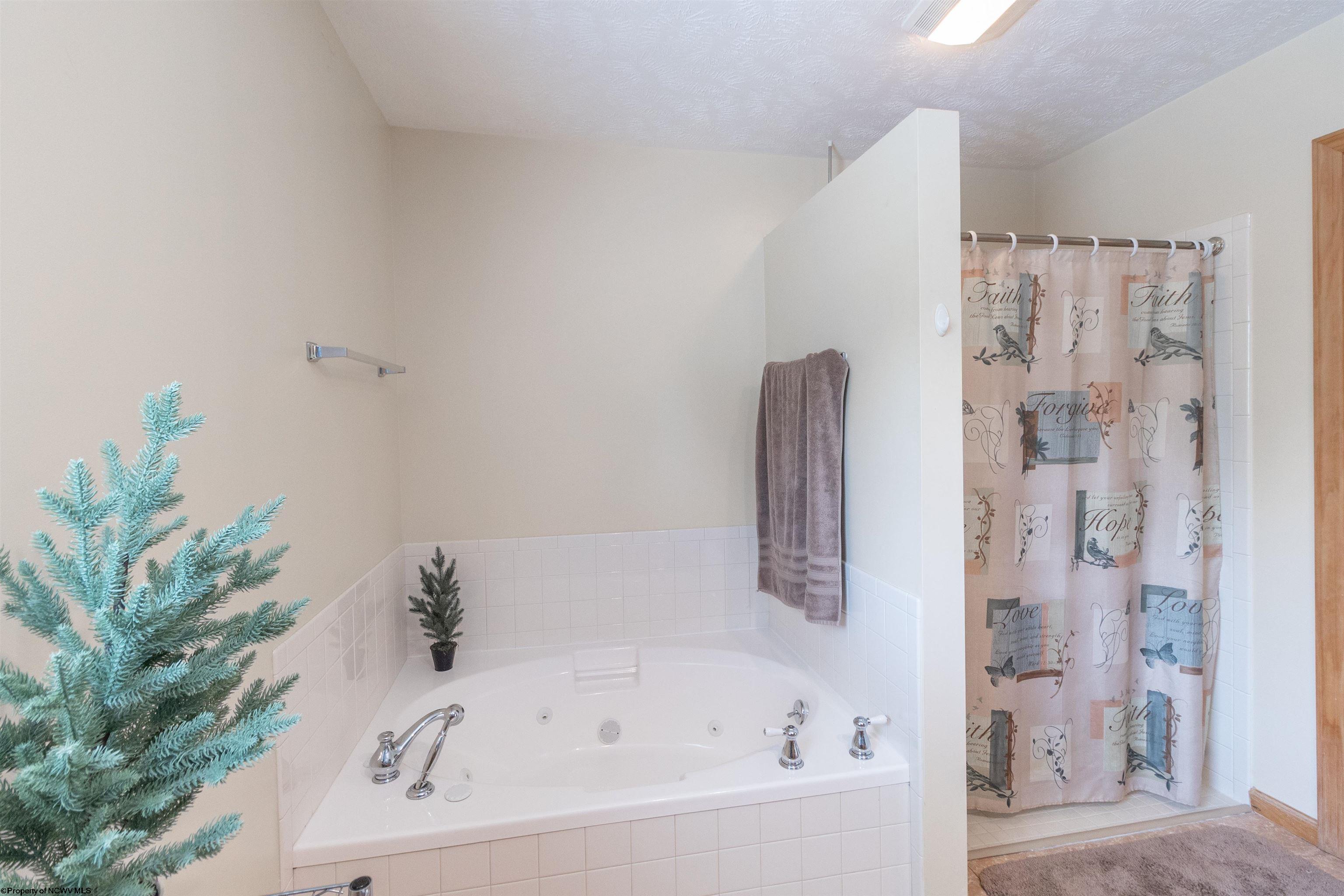 112 Mountain View Road Bridgeport, WV 26330 - Photo 16 of 43 Gallery Image 16