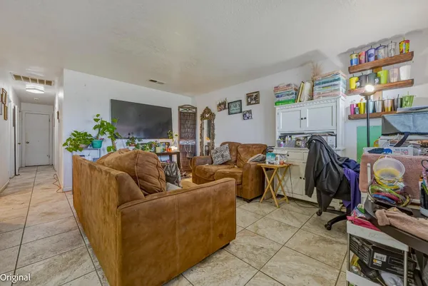 a living room with furniture and a potted plant