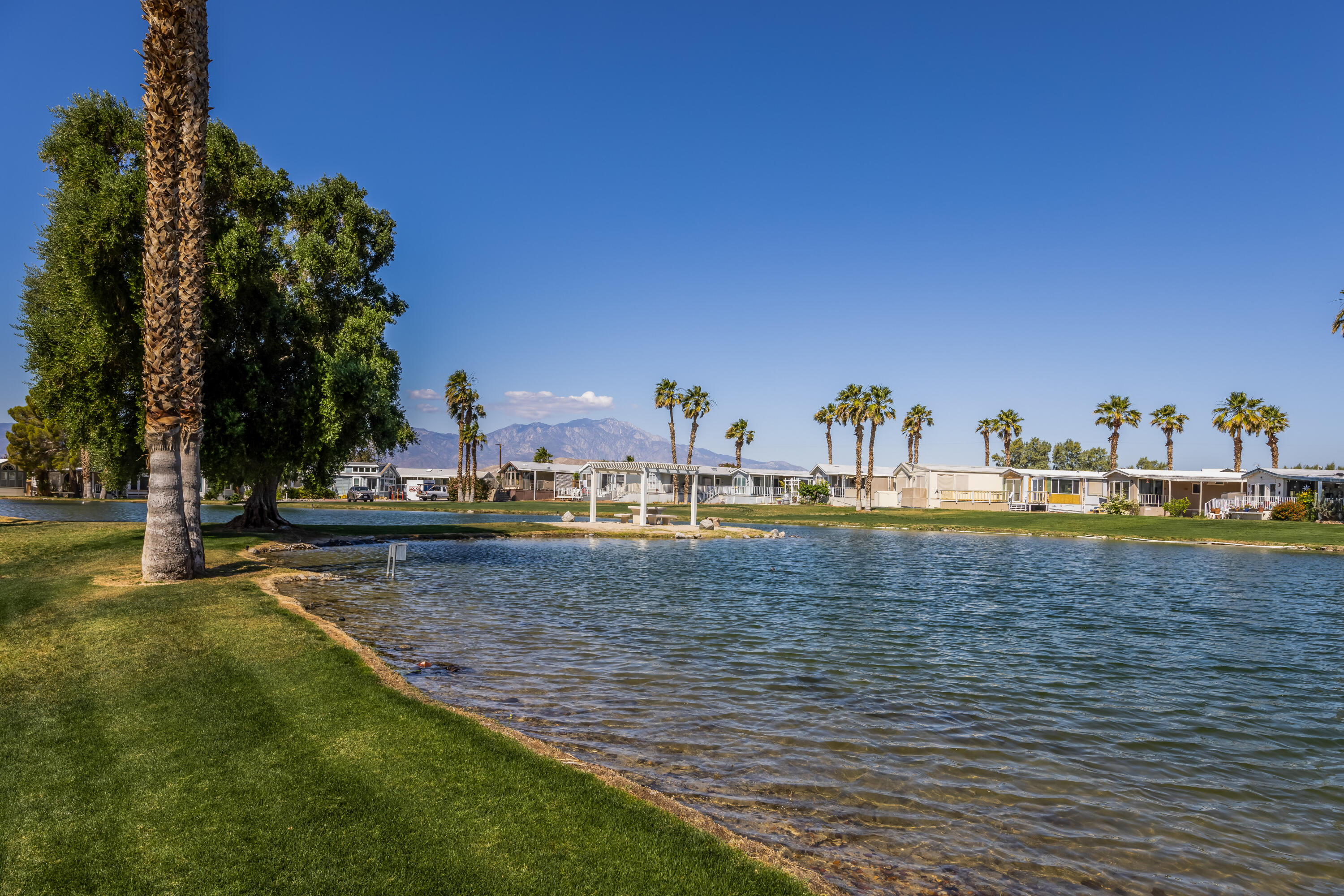74711 Dillon Road, Unit 123 Sky Valley, CA 92241 - Photo 19 of 23 a view of swimming pool with outdoor seating and covered with trees